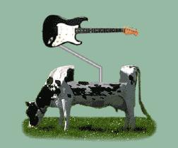 cow.jpg