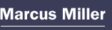 marcusmiller.gif