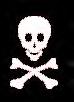 skull.jpg