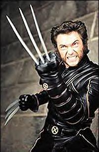 xmenwolverine.jpg